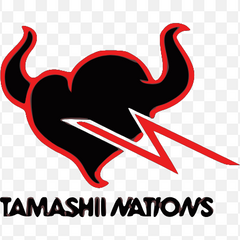 Collection image for: TAMASHII NATIONS