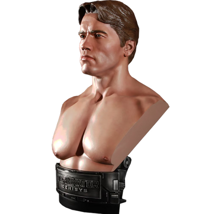 TOYNAMI Terminator Busts - Terminator Genisys 1984 Terminator