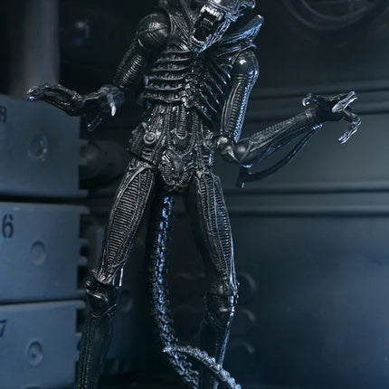 NECA Aliens 40th Anniversary - Ultimate Alien Warrior (Black) Action Figure