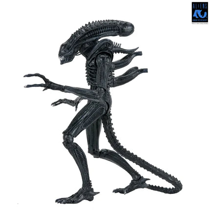 NECA Aliens 40th Anniversary - Ultimate Alien Warrior (Black) Action Figure