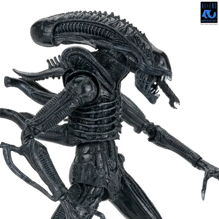 NECA Aliens 40th Anniversary - Ultimate Alien Warrior (Black) Action Figure