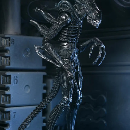 NECA Aliens 40th Anniversary - Ultimate Alien Warrior (Black) Action Figure