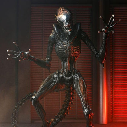 Alien: Romulus 7" Scale Figures - Ultimate Scorched Xenomorph