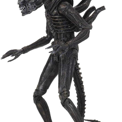 Alien - 7" Scale Action Figure - Ultimate 40th Anniversary Big Chap