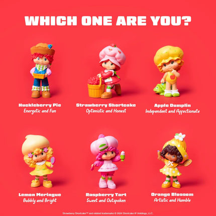 The Loyal Subjects Strawberry Shortcake Collectible - Case of 12 Assorted Figures