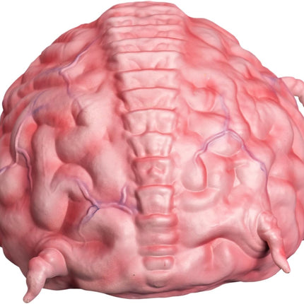 TRICK OR TREAT STUDIOS Krang Prop TMNT - Prop Replica
