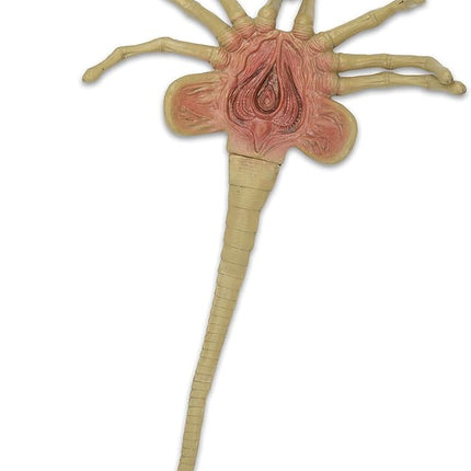 NECA Alien Foam Prop Replica Life-Size Facehugger