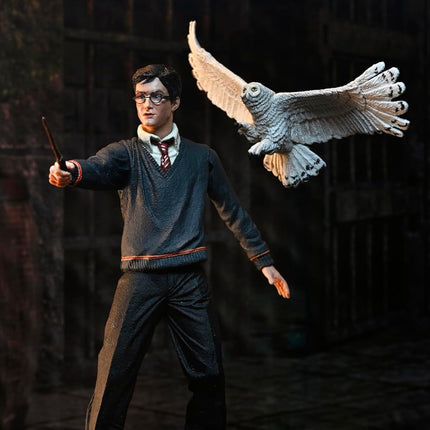 NECA Harry Potter Legacy Collection - Action Figure