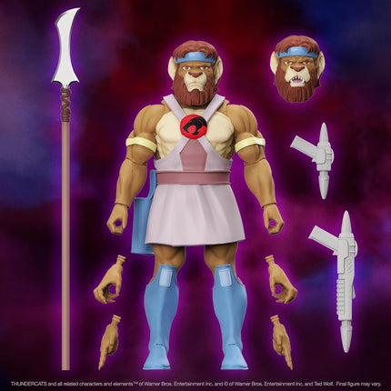 Super7 Thundercats Royal Thunderian Guard Action Figure with Accessories