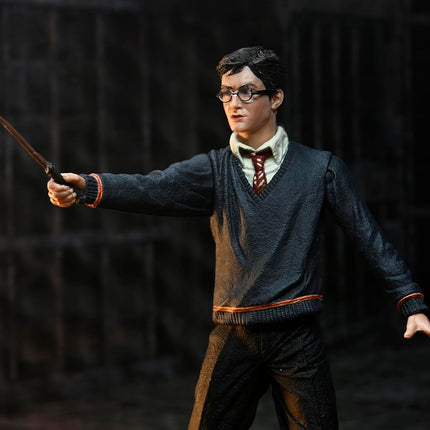 NECA Harry Potter Legacy Collection - Action Figure