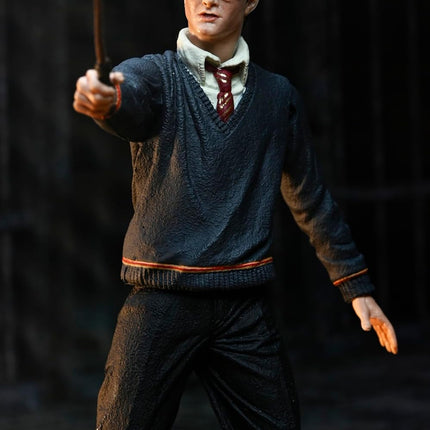 NECA Harry Potter Legacy Collection - Action Figure