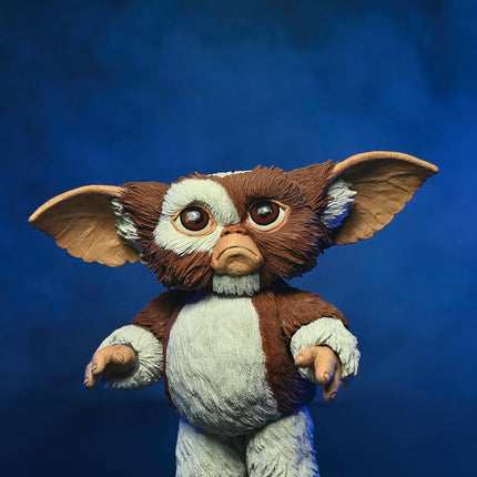 NECA - Gremlins - “Evolution of a Gremlin” 40th Anniversary Box Set