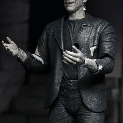 NECA Universal Monsters The Bride of Frankenstein - 90th Anniversary - 2-Pack Figures
