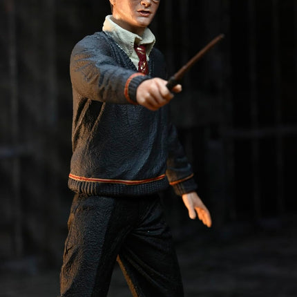 NECA Harry Potter Legacy Collection - Action Figure