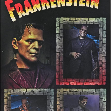 NECA Universal Monsters - Ultimate Frankenstein's Monster (Color) Action Figure