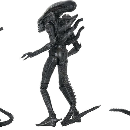Alien - 7" Scale Action Figure - Ultimate 40th Anniversary Big Chap