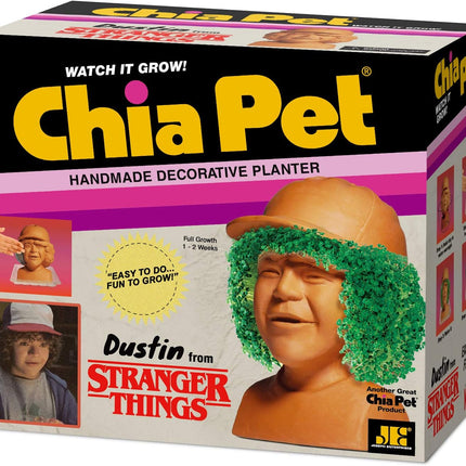 Chia Pet Stranger Things - Dustin with Seed Pack, Decorative Pottery Planter