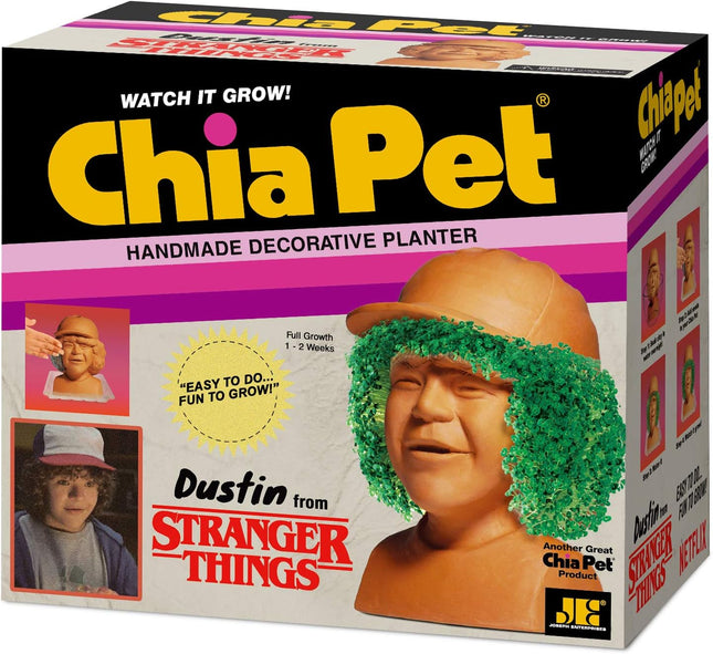 Chia Pet Stranger Things - Dustin with Seed Pack, Decorative Pottery Planter