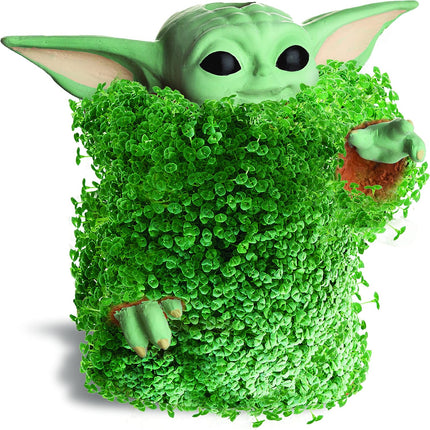 Chia Pet Star Wars the Child Using the Force with Seed Pack, Decorative Pottery Planter