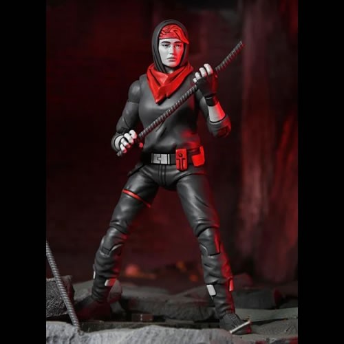 NECA TMNT The Last Ronin (The Lost Years) - April (Nightwatcher) Action Figures