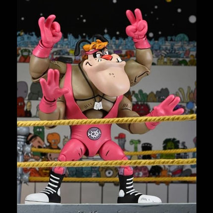 NECA Stump Arena TMNT Adventures Cryin' Houn'