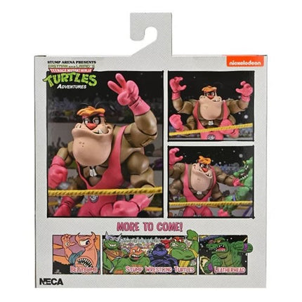 NECA Stump Arena TMNT Adventures Cryin' Houn'