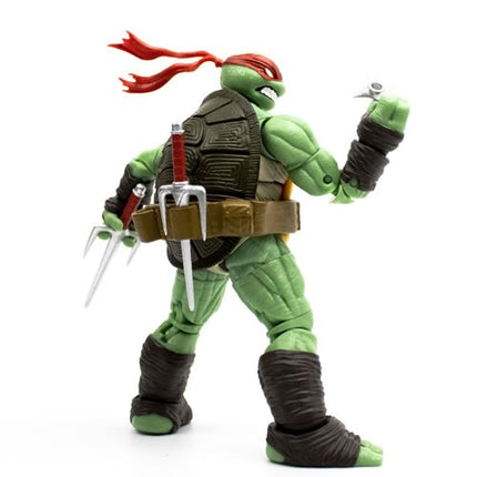 TMNT BST AXN Raphael IDW Inspired Comic Heroes Action Figure
