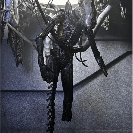 NECA Alien Romulus Deluxe Suspended Lab Xenomorph XX121 7" Scale Action Figure